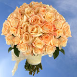Peach Flowers