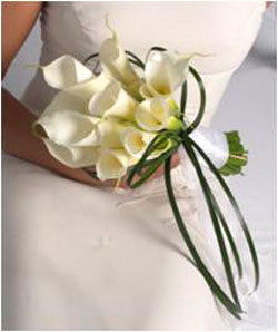 columbia sc wedding flowers