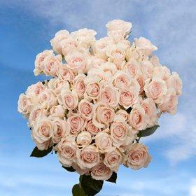 Pink Spray Roses 160