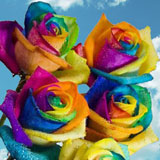 Rainbow Flowers