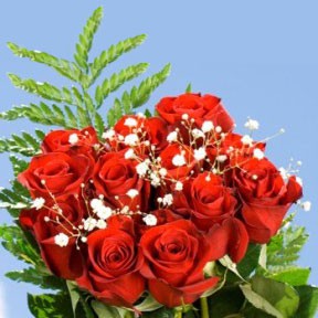 6 Long  Dozen Red Elegant Roses  72 Roses & Fillers She Will Love Them
