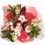 Valentine's Day Romeo