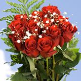 Rose Dozen Red