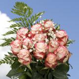 8 Dozen Roses Best Price 4 Dozen Red Roses & 4 Dozen Assorted Color Roses 96 & Fillers