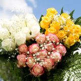 Rose Dozen Your Choice  Of Color Dozen Roses