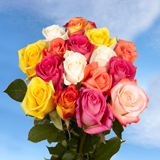 Rose Varieties View All