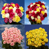 50 Roses For Sale