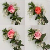 Valentine's Day Single Color Roses
