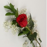 Valentine's Day Single Red Roses