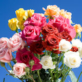 Assorted Color Spray Roses 90 Flowers 360 Blooms
