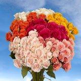 100 Assorted Color Spray Roses with 360 Blooms