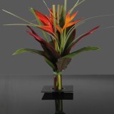 Tropical Flowers