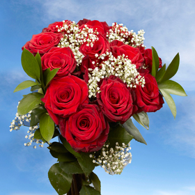 3 Red Long Dozen Roses 36 Beautiful Roses A true signal of Love!