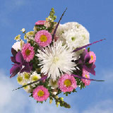 Valentine's Day Cupid 8 Lovely Bouquets Just for Her