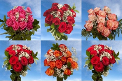 Valentine's Day Special 3 Dozen Red Roses & 3 Dozen Assorted Color Roses 72 Roses & Fillers