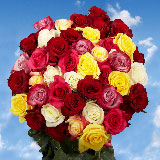 50 Roses  25 Red Roses 25 Color Roses Just Perfect
