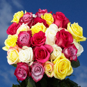 50 Roses  25 Red Roses 25 Color Roses Just Perfect