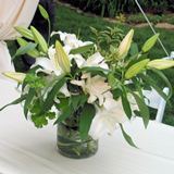 Wedding Combo D.I.Y. Delightful