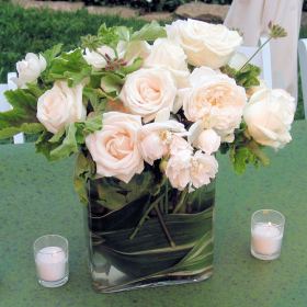 Wedding Combo D.I.Y. Enchanted 250 roses & 144 Garden Rosess &15 Bunches of Mixed Greens