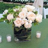 Wedding Combo D.I.Y. Enchanted 250 roses & 144 Garden Rosess &15 Bunches of Mixed Greens