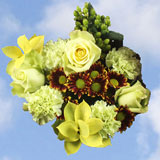 Arrangement Green Fall Flowers 8 Bouquets