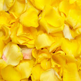 4200 Rose Petals Yellow