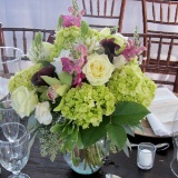 Wedding Combo D.I.Y. Lovely