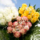 14 Dozen Roses Your Choice of Color & Fillers