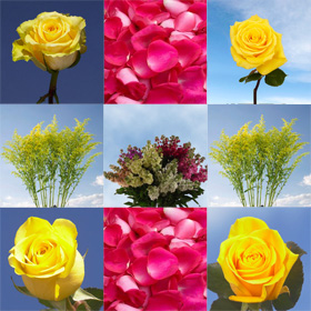 Wedding Flowers and Petals Combo Yellow Roses Solidago Rose Petals ...