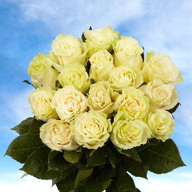 Fresh Bulk Roses | Global Rose