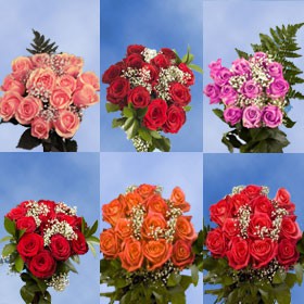 16 Dozen Roses Best Price 8 Dozen Red Roses & 8 Dozen Assorted Color R ...