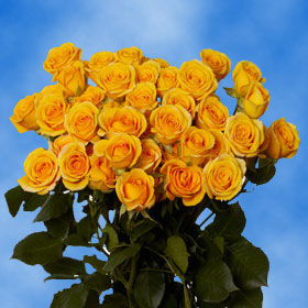 Yellow Spray Roses Flowers | Global Rose