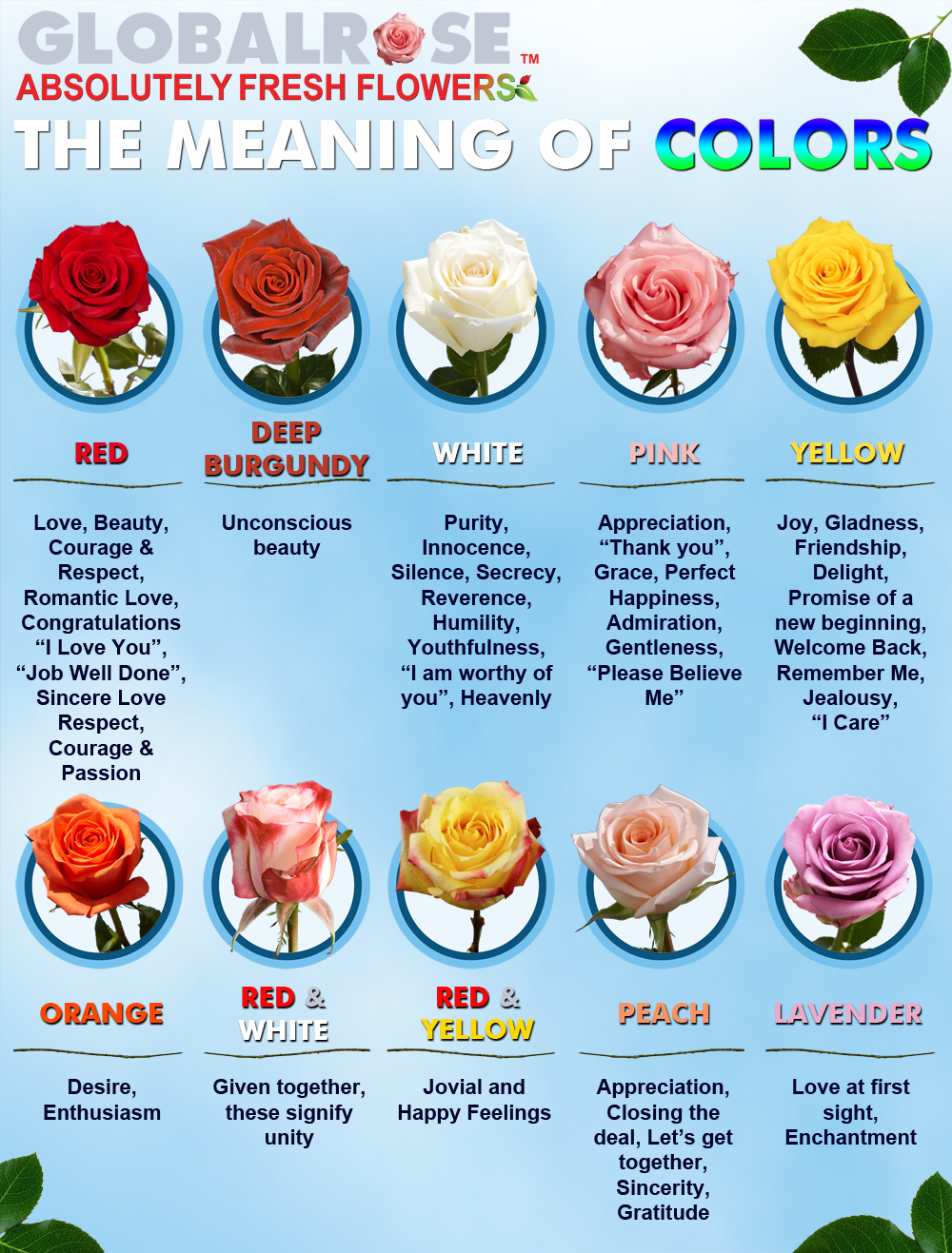 The meaning of colors | Blog | Globalrose