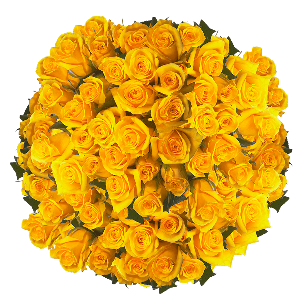WHY GIVE FRIENDS FLOWERS ON VALENTINE'S DAY?