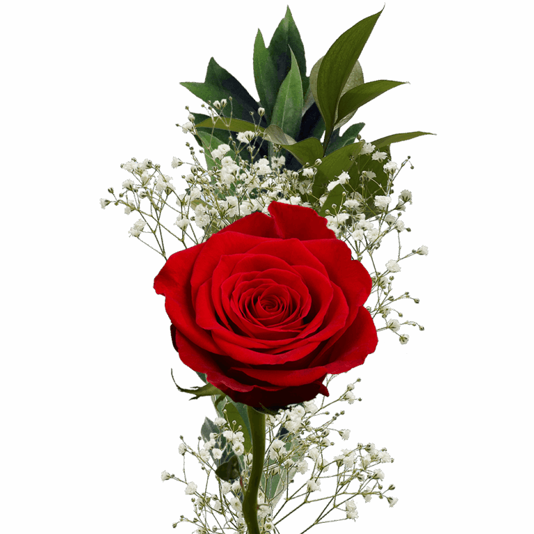 why give family flowers on valentone's day?