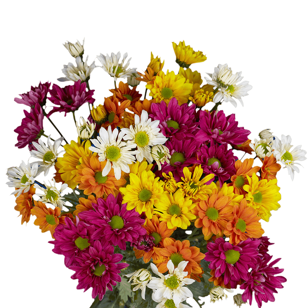 Daisy Flower Bouquet - Traditional Wedding Flower Meaning and Symbolism