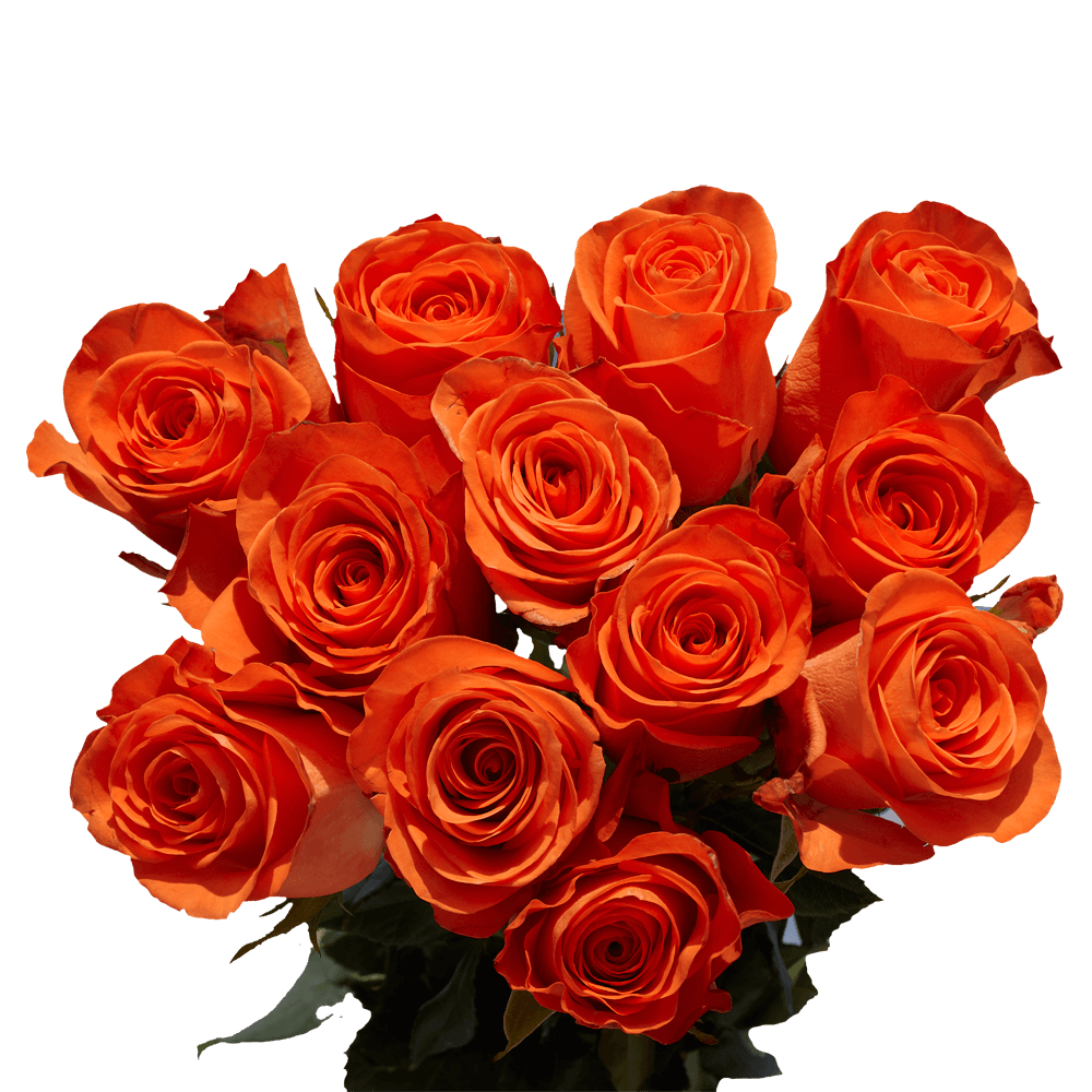50 Stems of Orange Wedding Roses