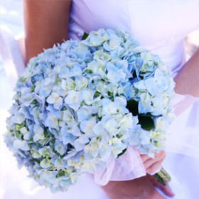 Bridal Bouquet with Blue Hydrangeas