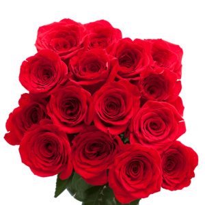 Red Rose Flowers:  Most Popular Flowers for Mother's Day