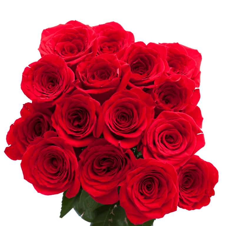 Red Rose Flowers: Most Popular Flowers for Mother's Day