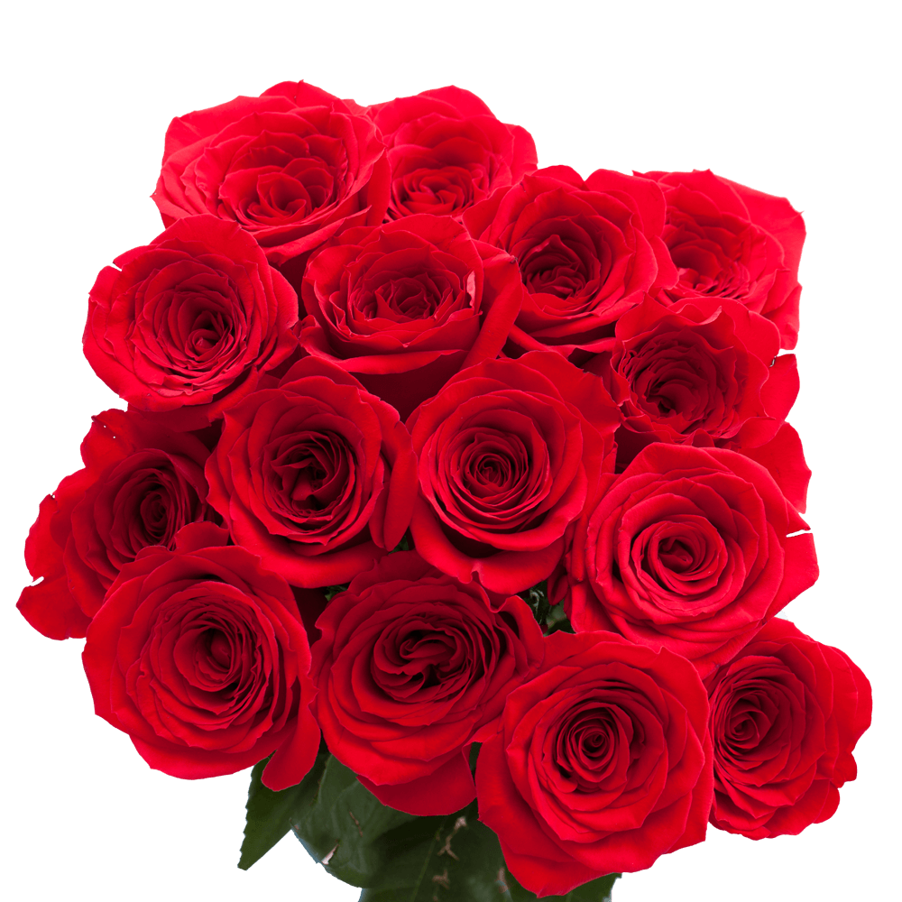 Red Rose Flowers: Most Popular Flowers for Mother's Day
