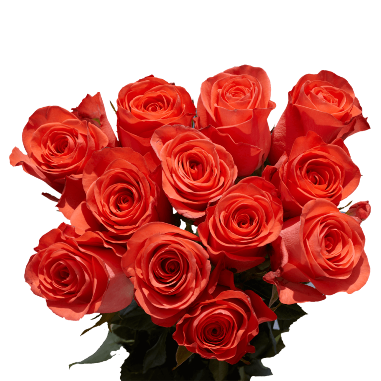 15 Most Popular Flowers for Mother’s Day Blog Globalrose