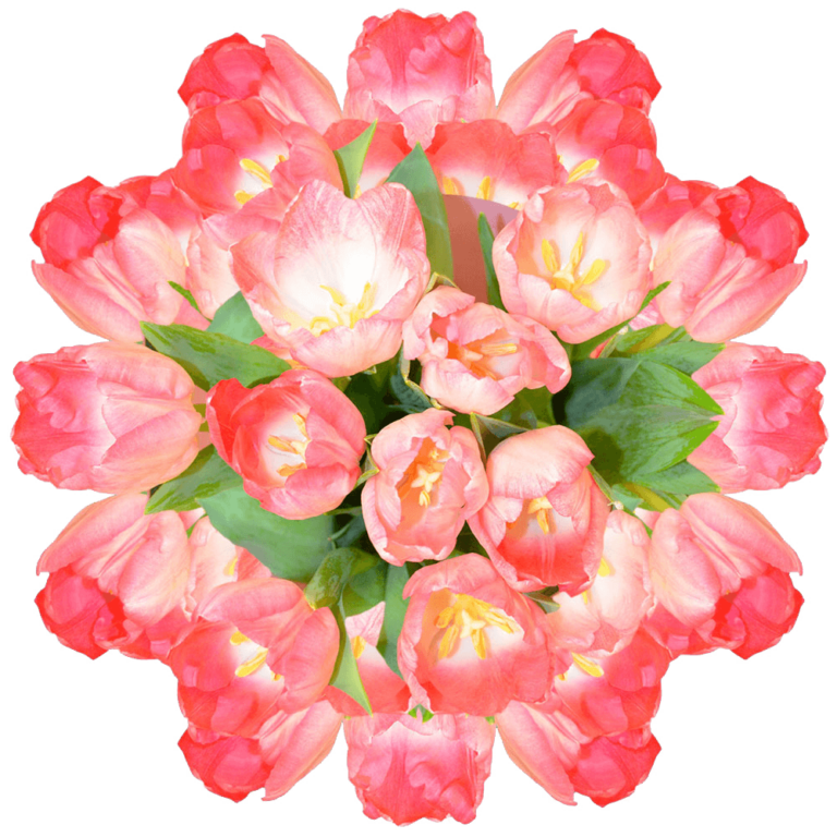 15 Most Popular Flowers for Mother’s Day Blog Globalrose