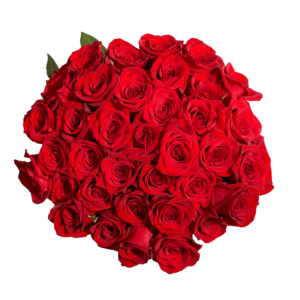 50 красных роз на следующий день на День Святого Валентина