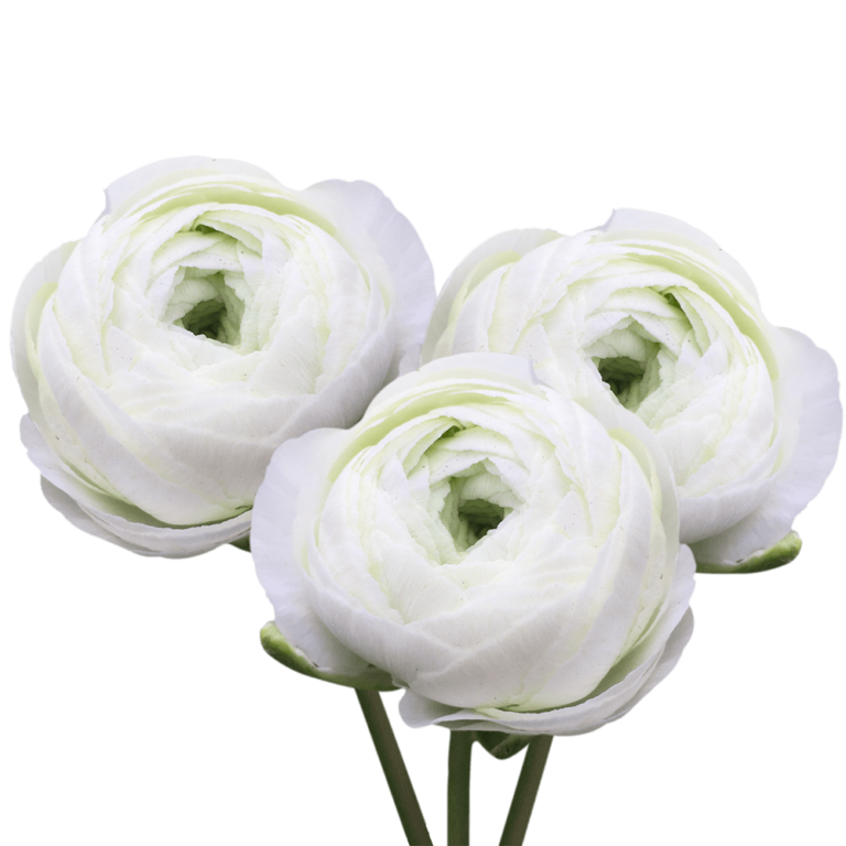 Revive Flowers