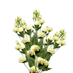 Yellow Lisianthus: Wedding Flower Trends