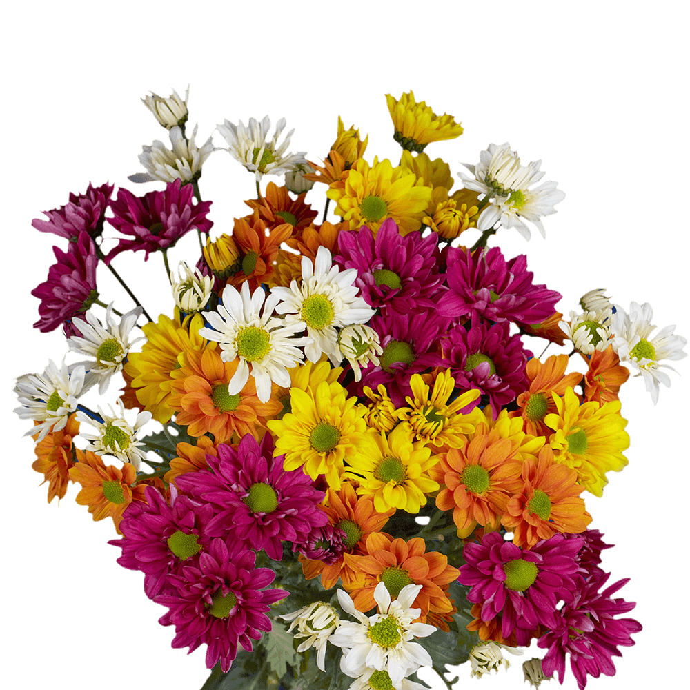 Flowers For Every Occasion The Perfect Blooms for Birthdays