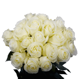 50 Stems of White Wedding Roses