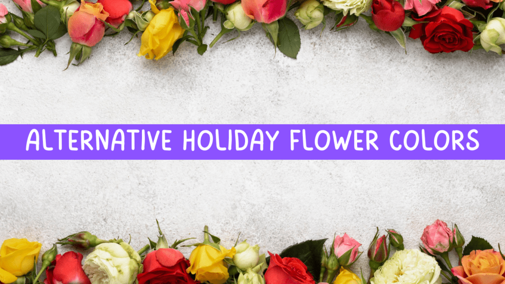 Alternative Holiday Flower Colors