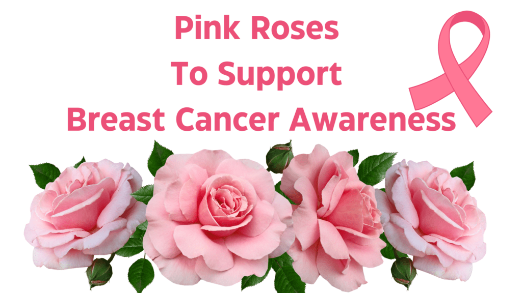 Pink Roses To Support Breast Cancer Awareness